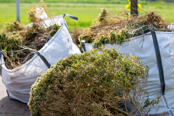 Best Household Junk Removal  in Lindsborg, KS